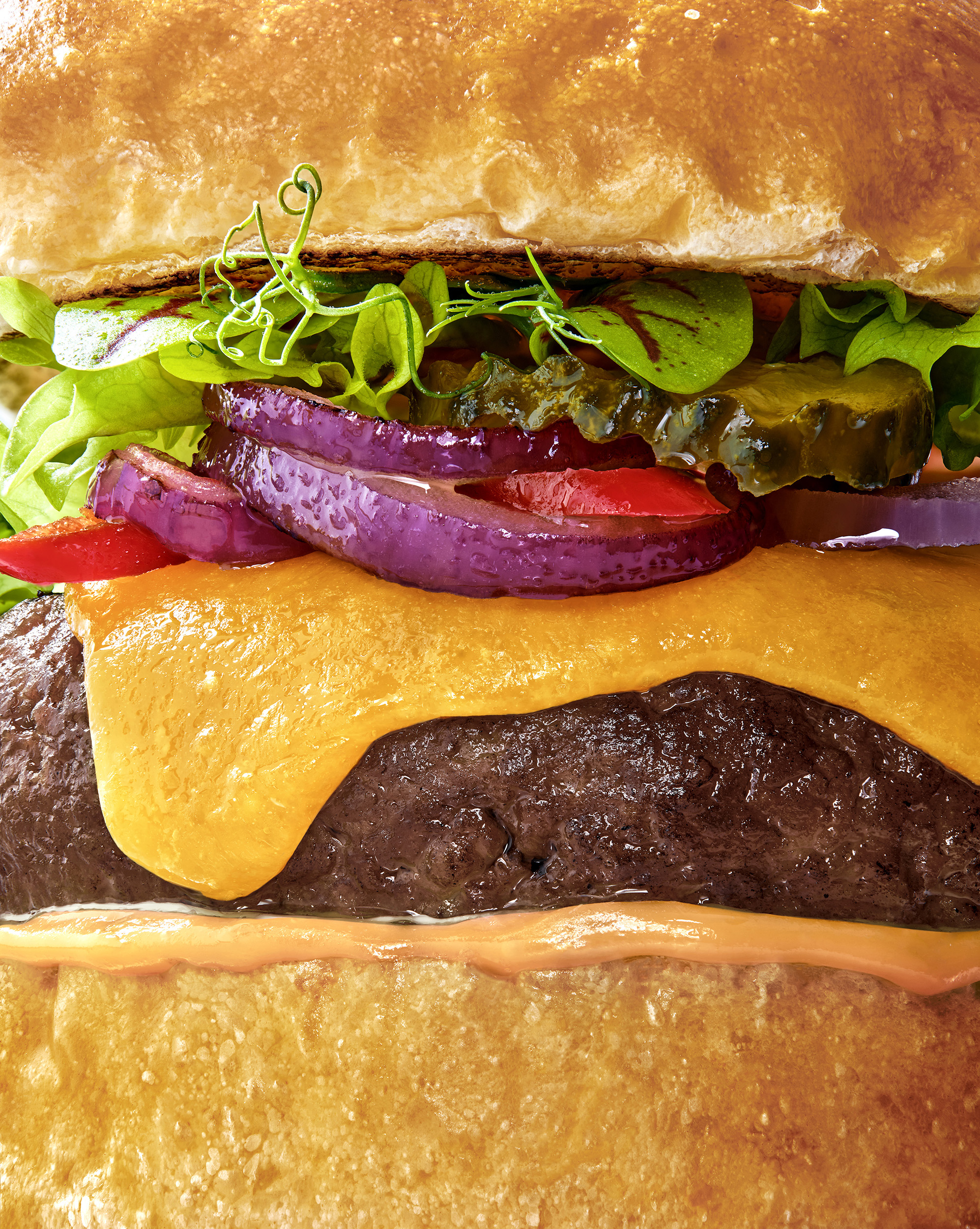 Mosa Burger